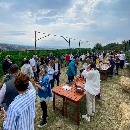 Degustări la două crame