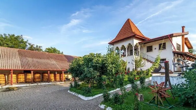 Dealu Mare: tur vinicol cu degustări și opriri la crame